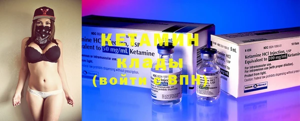 стаф Богданович