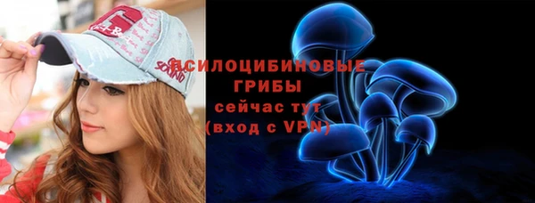 MESCALINE Бородино