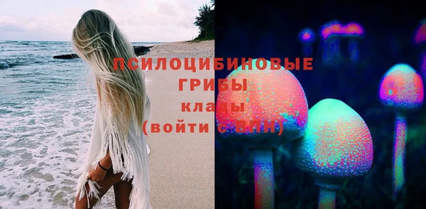 MESCALINE Бородино