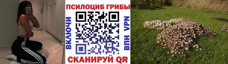продажа наркотиков  blacksprut маркетплейс  Галлюциногенные грибы мухоморы  Люберцы 
