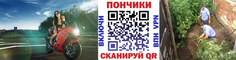 Бошки Шишки THC 21% Люберцы