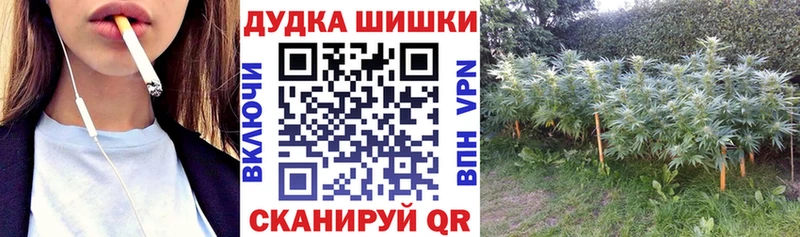 Конопля OG Kush  Люберцы 